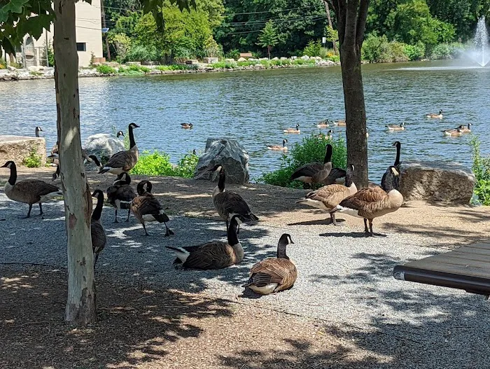 Duck Pond Park - Fishing Place Picture 2