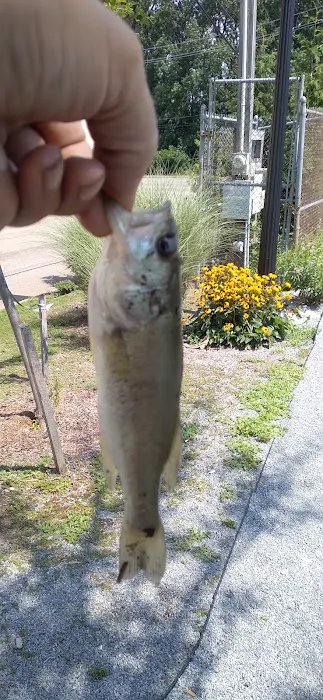 Duck Pond Park - Fishing Place Picture 8