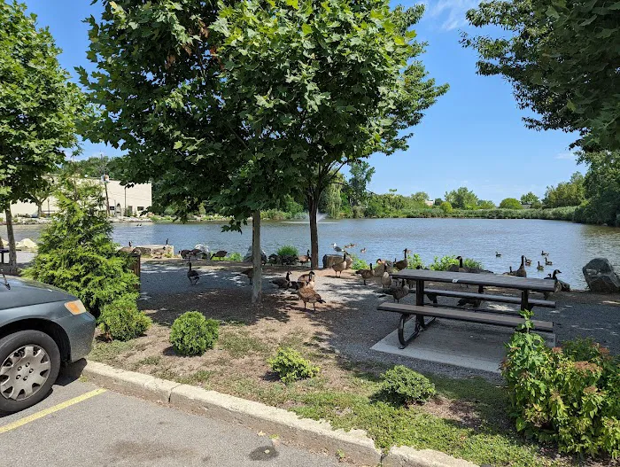 Duck Pond Park - Fishing Place Picture 4