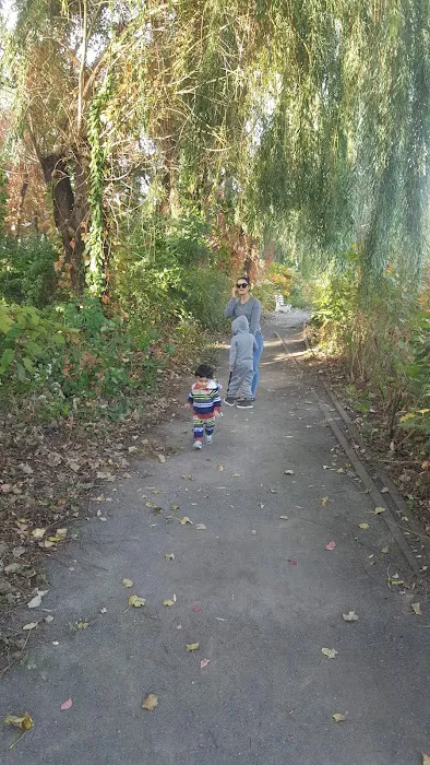 Duck Pond Park - Fishing Place Picture 10