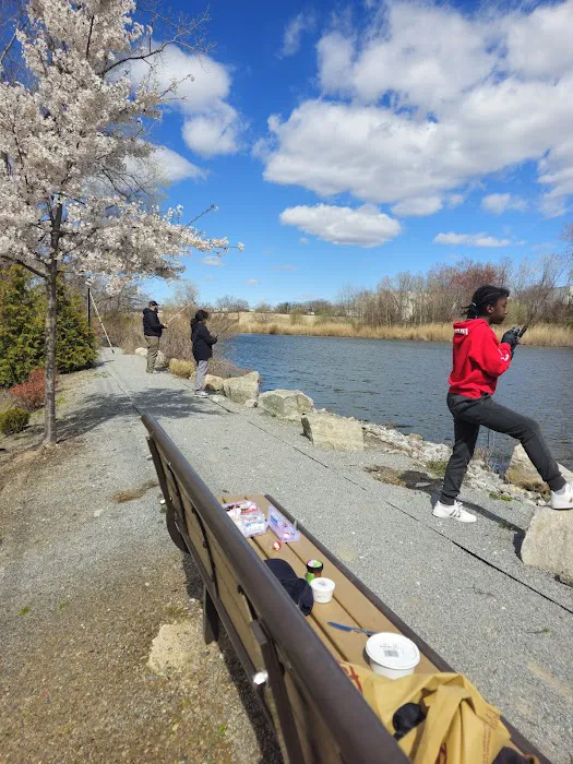 Duck Pond Park - Fishing Place Picture 7