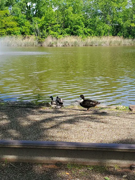 Duck Pond Park - Fishing Place Picture 9