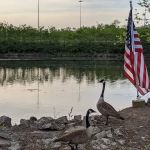 Lyndhurst Greenway 4