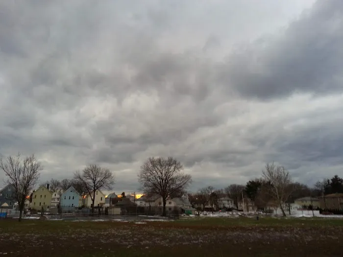 Dunney Park Picture 6