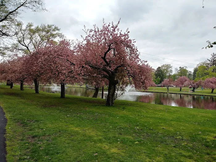 Third Ward Park Picture 9