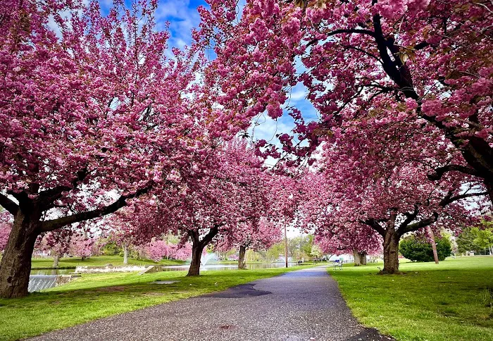 Third Ward Park Picture 10