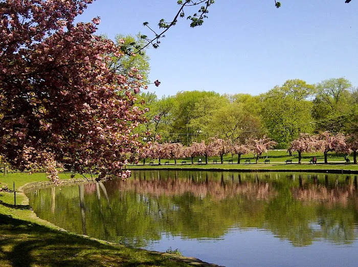Third Ward Park Picture 1