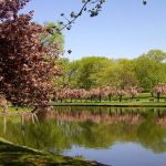 Third Ward Park
