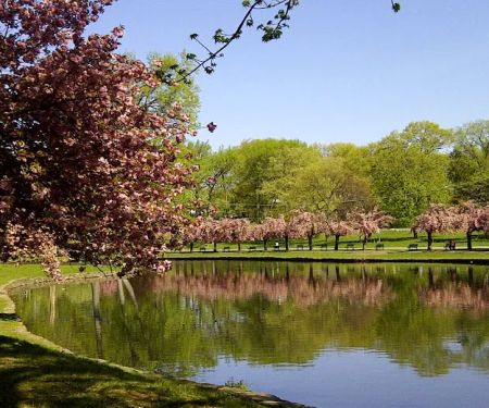 Third Ward Park