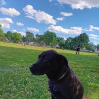 Latteri Park ico