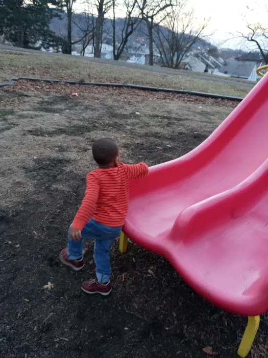 Roberto Clemente Park Picture 6