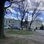 Main & Gould Park