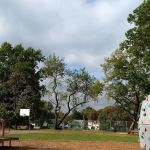 Washington Park