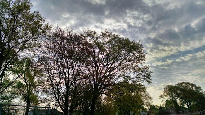 Albion Memorial Park Picture 5
