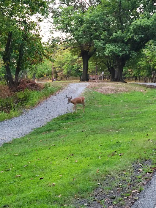 Garret Mountain Reservation Picture 5