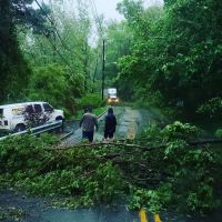 Hilldale ico