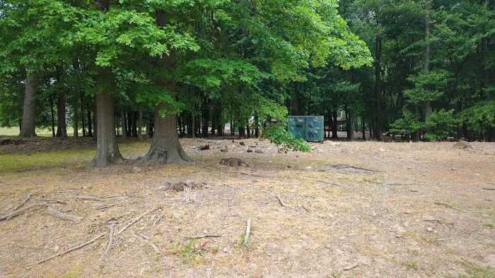 Volunteers Park