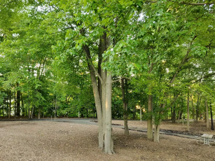 Volunteers Park
