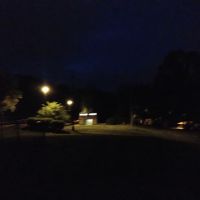 Volunteers Park 