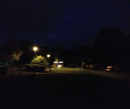 Volunteers Park