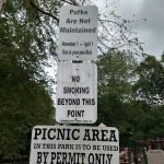 Volunteers Park