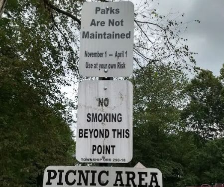 Volunteers Park