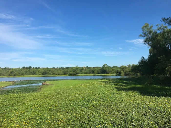 Commerce Road Wetlands Picture 1