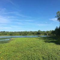 Commerce Road Wetlands ico