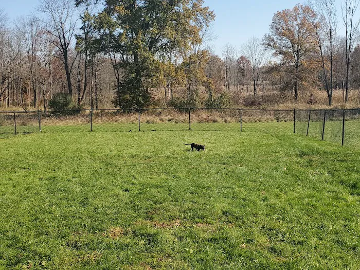 Cameron Dog Park Picture 6