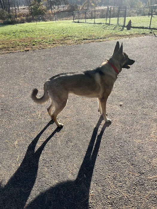 Cameron Dog Park Picture 8