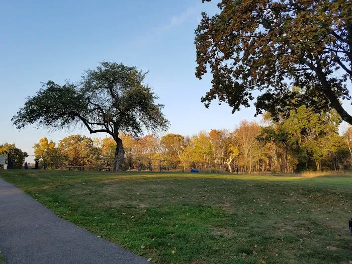 Cameron Dog Park Picture 7