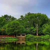 Zabriskie Pond Park ico