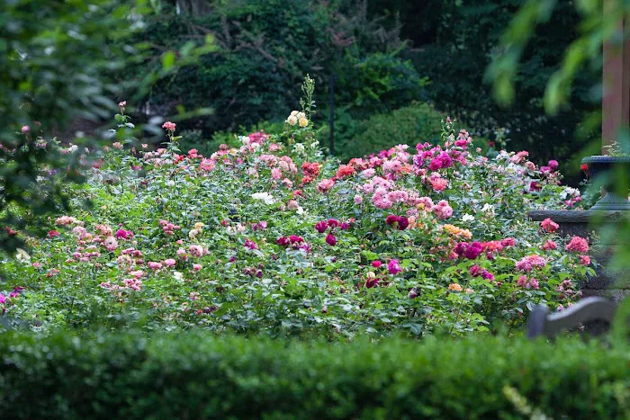 The Gardens of Wyckoff Picture 1