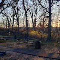 Hofstra Park ico