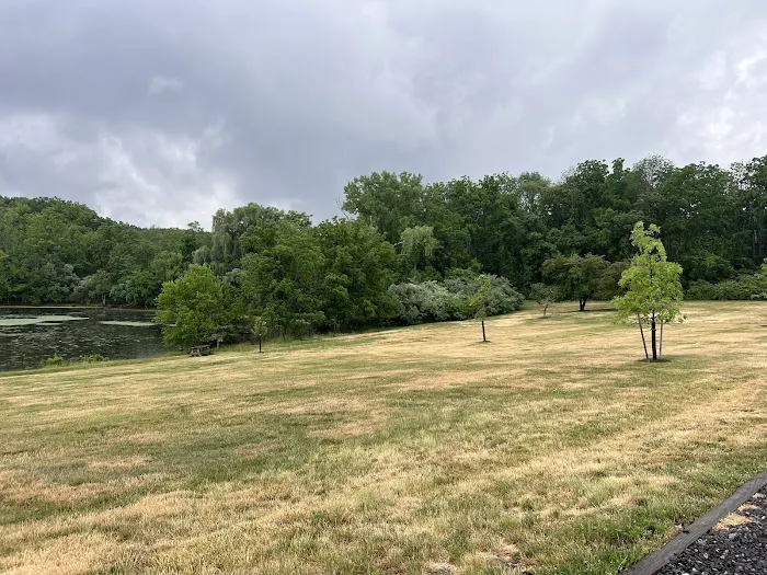Spring Lake Brook Picture 4