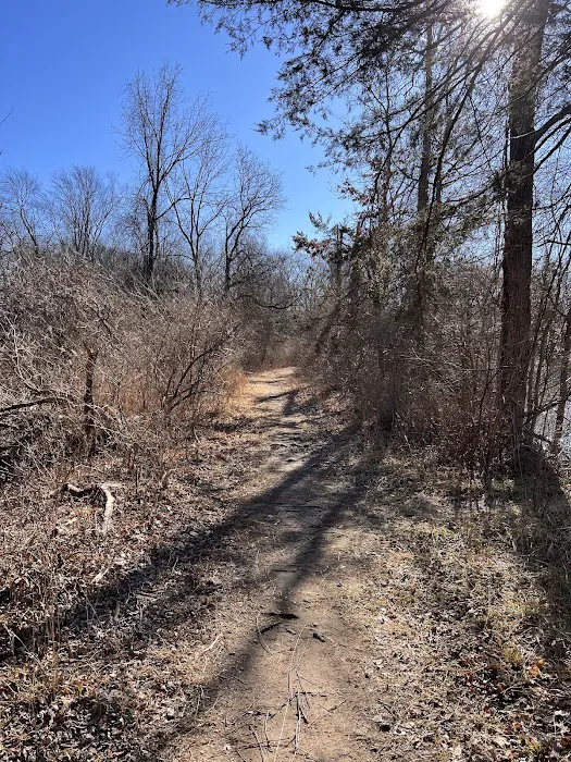 Spring Lake Brook Picture 8