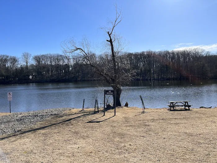 Spring Lake Brook Picture 9
