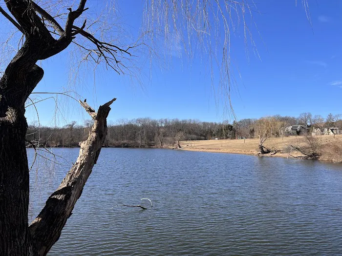 Spring Lake Brook Picture 7