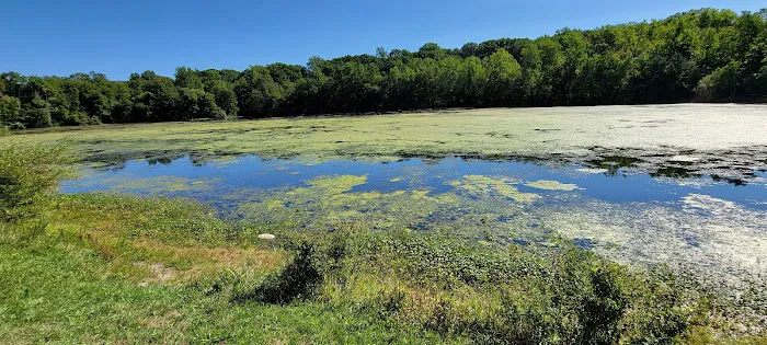 Spring Lake Brook Picture 5