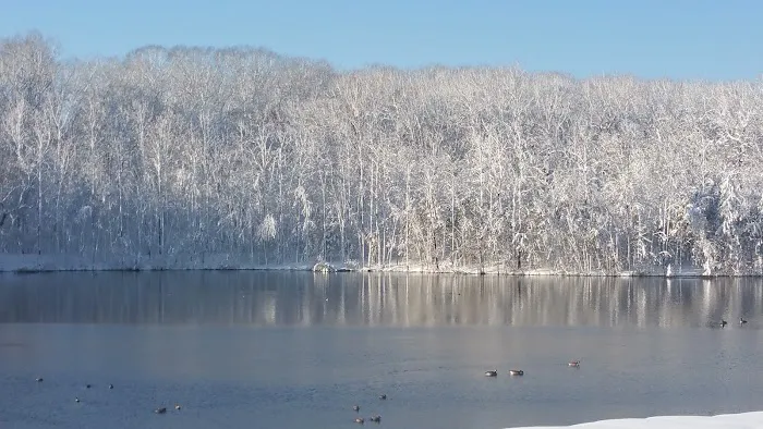 Parsons Pond Park Picture 9