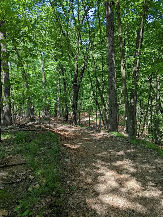Parsons Pond Park Picture 8
