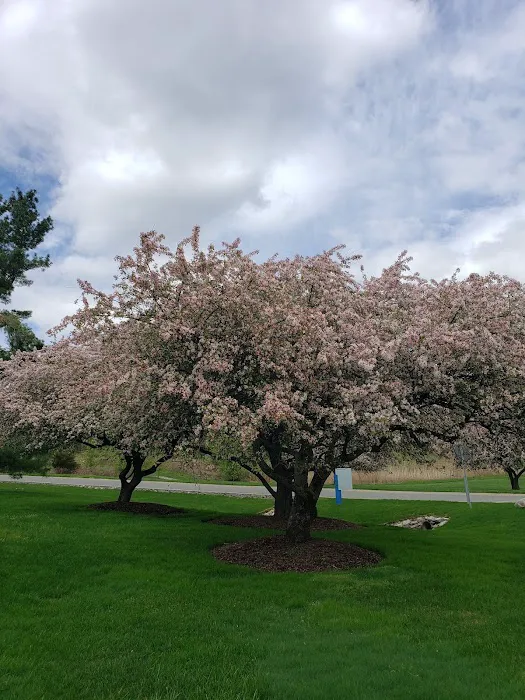 Parsons Pond Park Picture 6