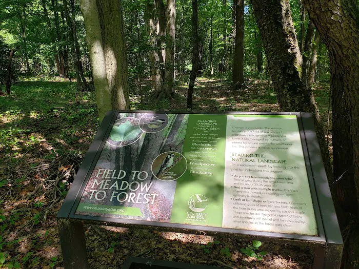 Lorrimer Sanctuary Picture 5