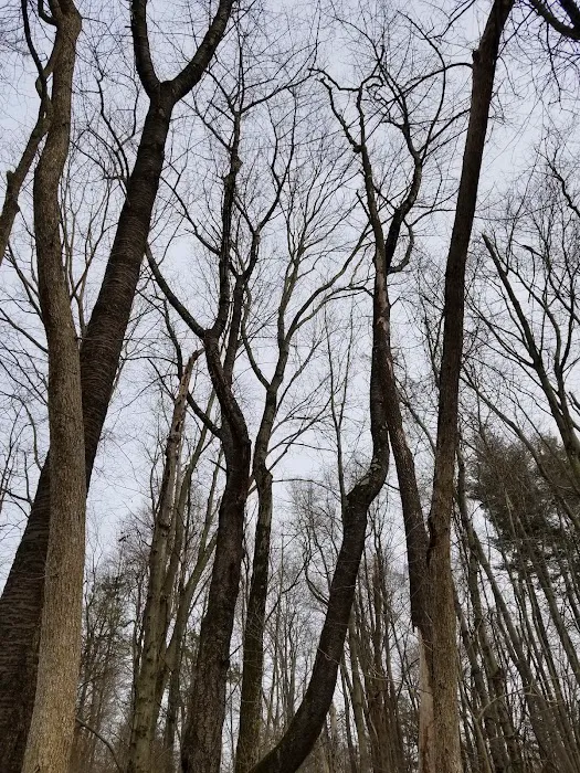 Lorrimer Sanctuary Picture 6