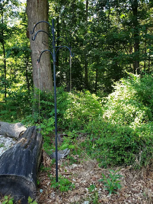 Lorrimer Sanctuary Picture 2