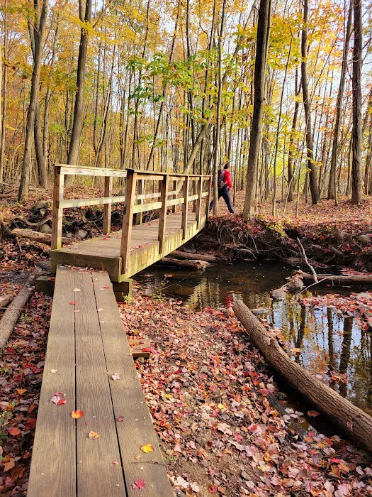 G. Thomas Donch Nature Preserve (formerly known as Franklin Lakes Nature Preserve) Picture 9