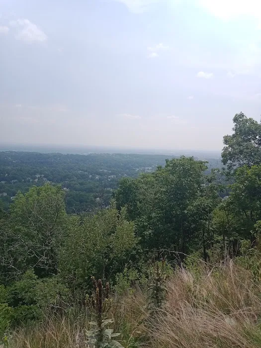 High Mountain Picture 5