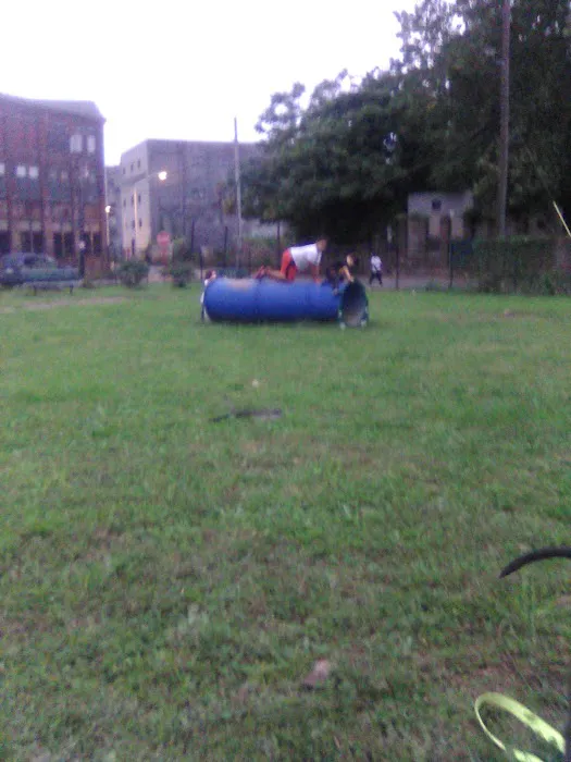 Dog Park Picture 2