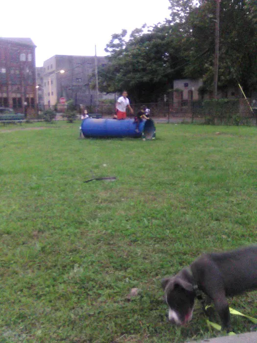Dog Park Picture 4