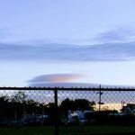 Dog Park